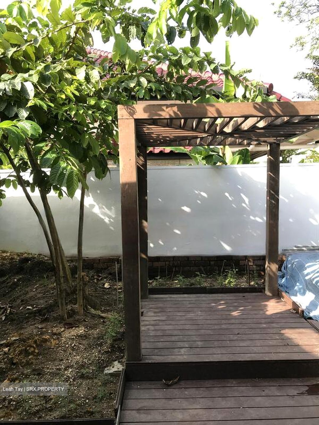 Ponggol Seventeenth Avenue (D19), Detached #582877101